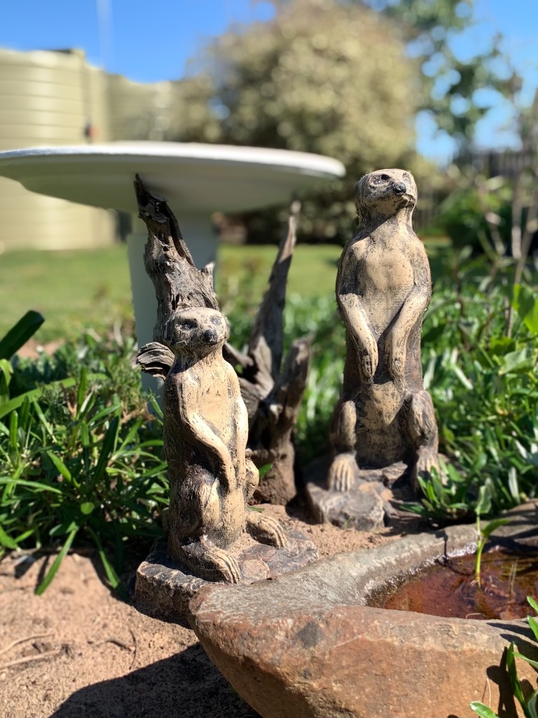 Processed with Focos