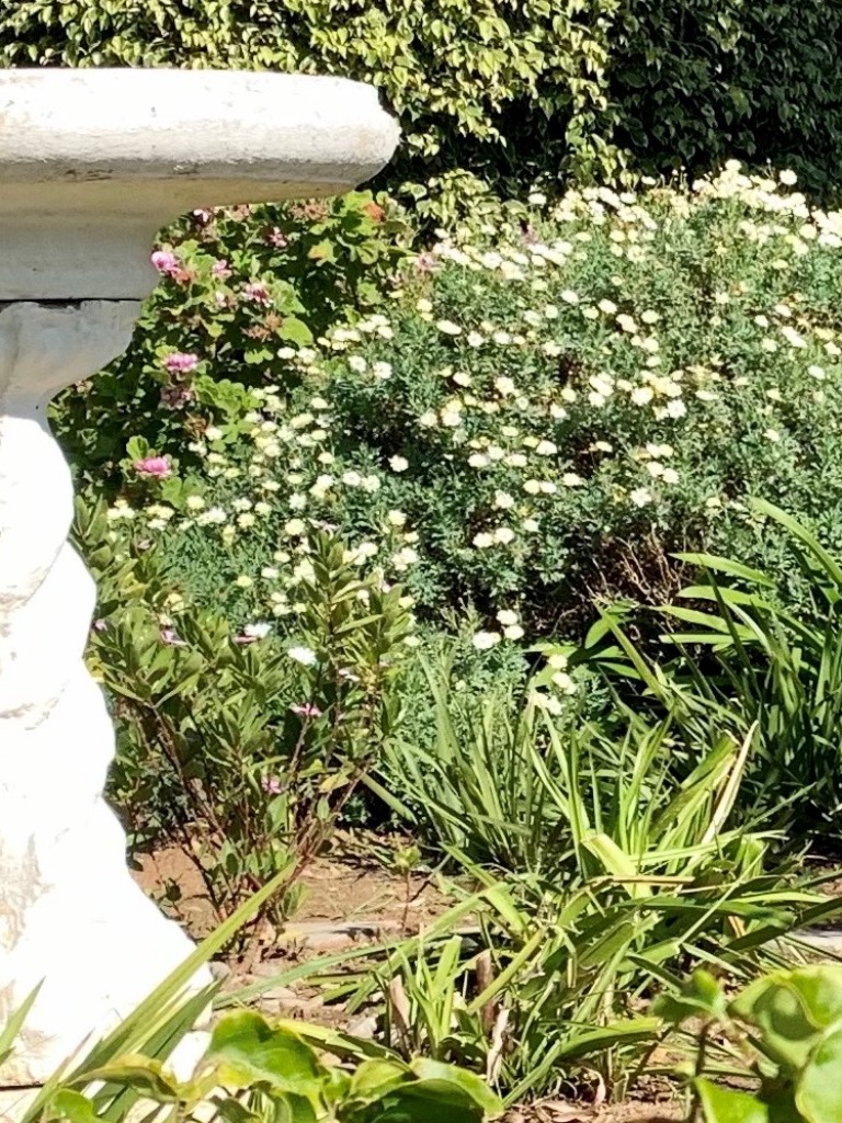 Damant Lodge Exterior15