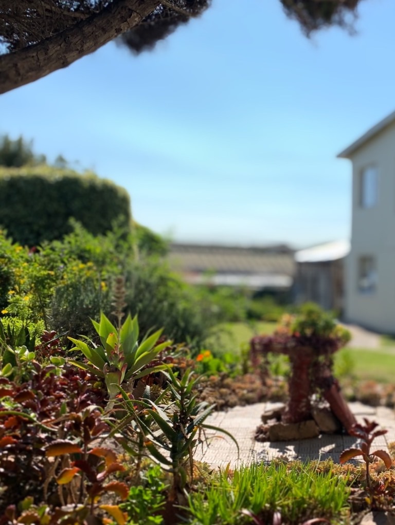 Processed with Focos